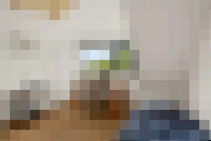 Dukaatslag 16 Houten thumbnail 30