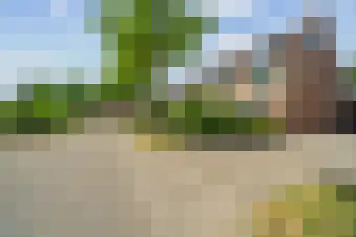 Dukaatslag 16 Houten thumbnail 42