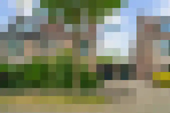 Dukaatslag 16 Houten thumbnail 43