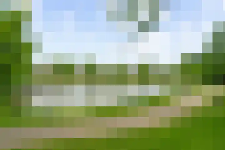 Dukaatslag 16 Houten thumbnail 44