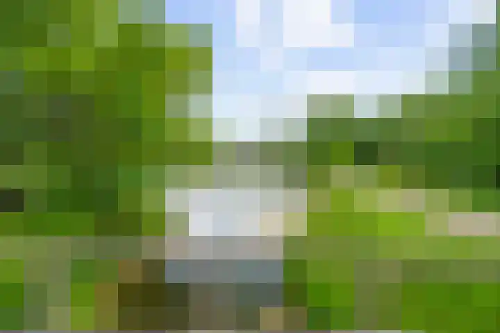 Dukaatslag 16 Houten thumbnail 45