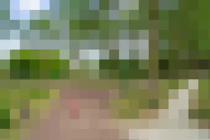 Dukaatslag 16 Houten thumbnail 46