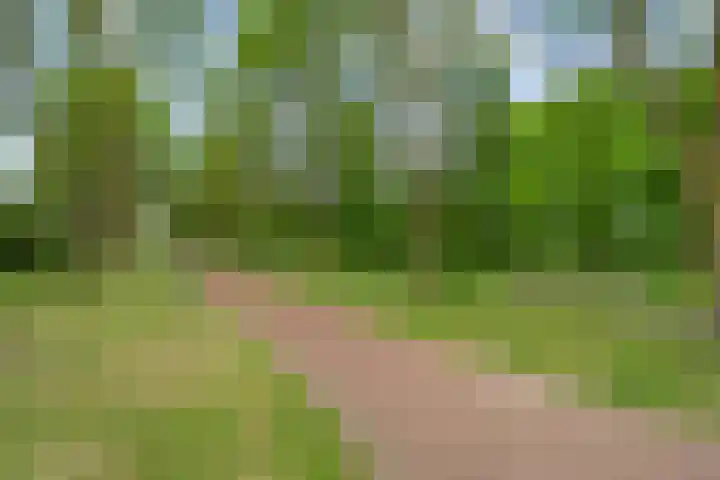 Dukaatslag 16 Houten thumbnail 47