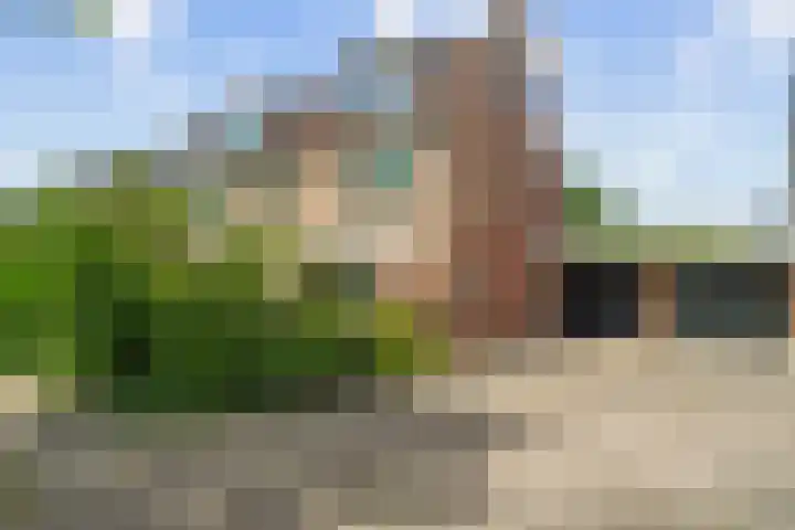 Dukaatslag 16 Houten thumbnail 53