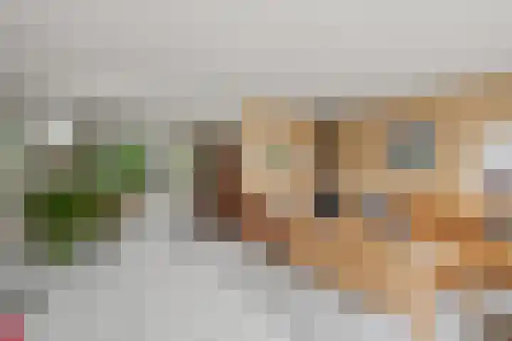 Dukaatslag 16 Houten thumbnail 8