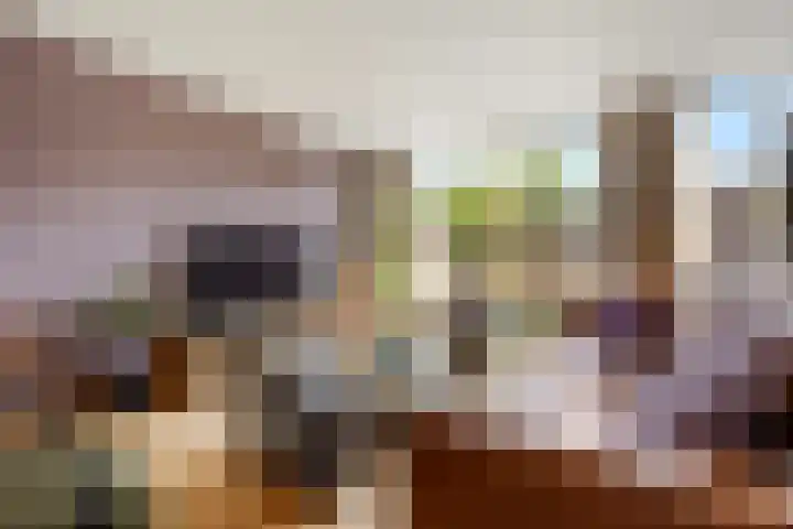 Dukaatslag 67 Houten thumbnail 10