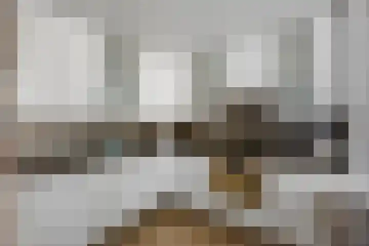 Dukaatslag 67 Houten thumbnail 13