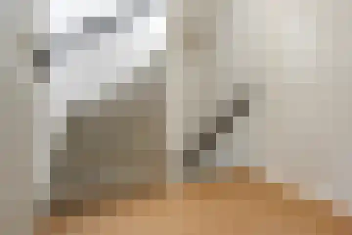Dukaatslag 67 Houten thumbnail 17