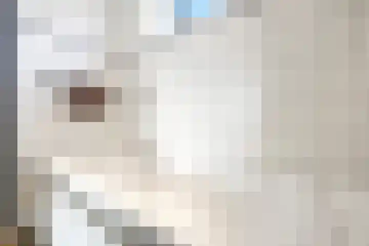 Dukaatslag 67 Houten thumbnail 27