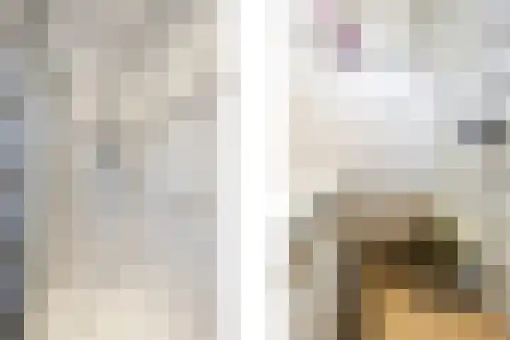 Dukaatslag 67 Houten thumbnail 28