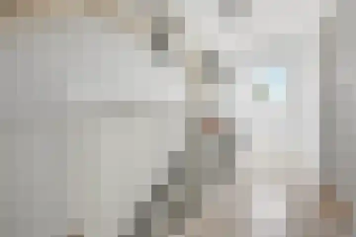 Dukaatslag 67 Houten thumbnail 31