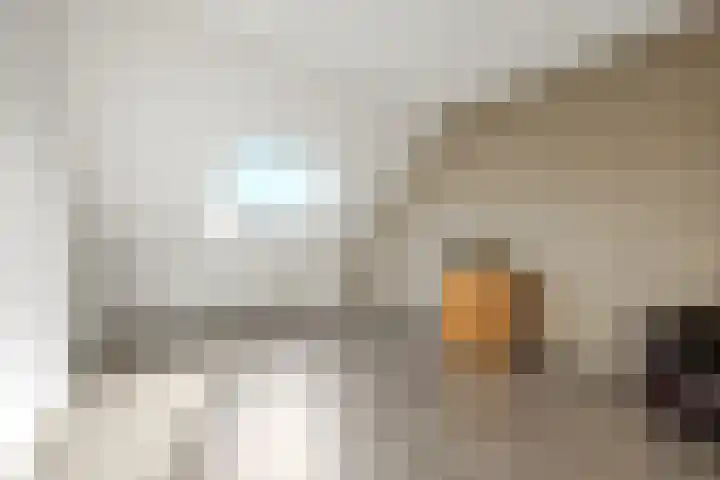 Dukaatslag 67 Houten thumbnail 33