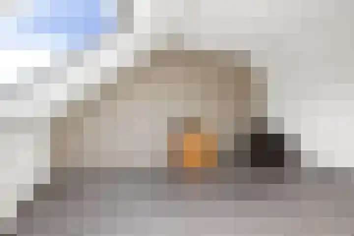 Dukaatslag 67 Houten thumbnail 34