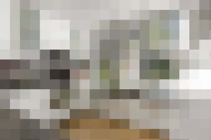 Dukaatslag 67 Houten thumbnail 37