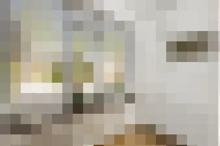 Dukaatslag 67 Houten thumbnail 38