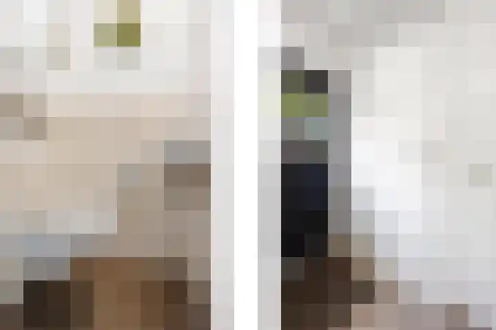 Dukaatslag 67 Houten thumbnail 4