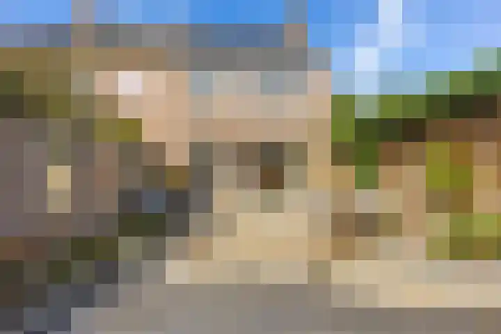 Dukaatslag 67 Houten thumbnail 40