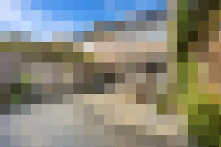 Dukaatslag 67 Houten thumbnail 43