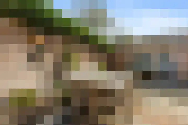 Dukaatslag 67 Houten thumbnail 44