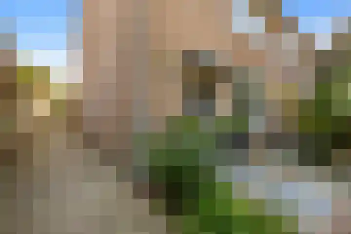 Dukaatslag 67 Houten thumbnail 47