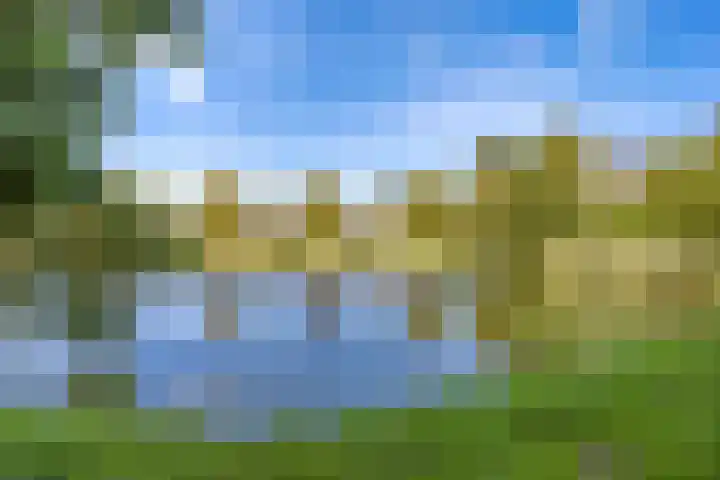 Dukaatslag 67 Houten thumbnail 50