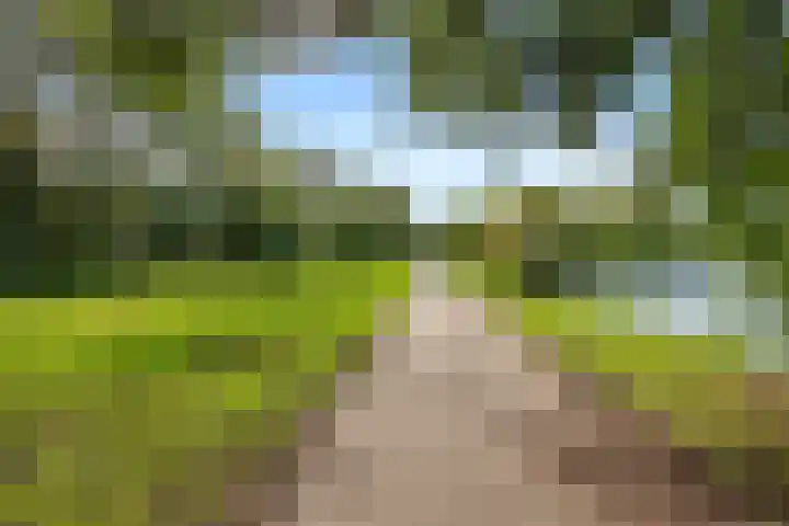 Dukaatslag 67 Houten thumbnail 51