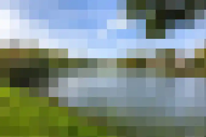 Dukaatslag 67 Houten thumbnail 52