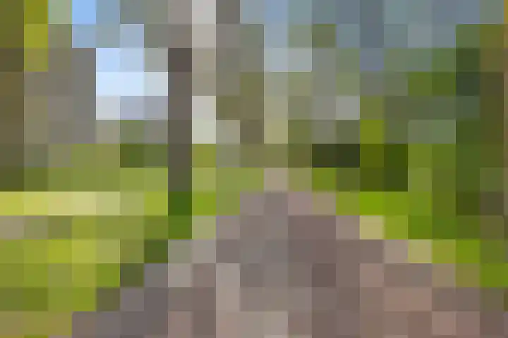 Dukaatslag 67 Houten thumbnail 54