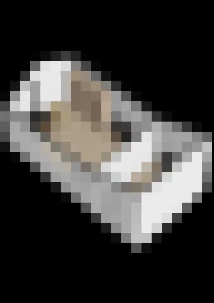 Dukaatslag 67 Houten thumbnail 64