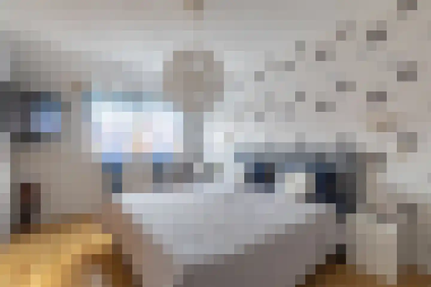 Dukaatstraat 15 Alkmaar thumbnail 15