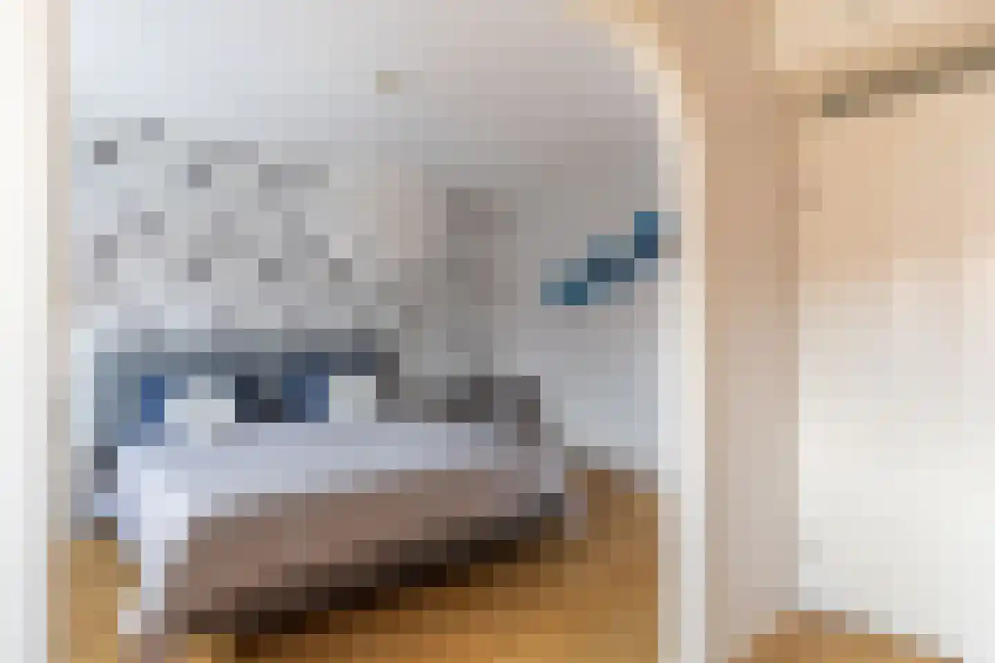 Dukaatstraat 15 Alkmaar thumbnail 18