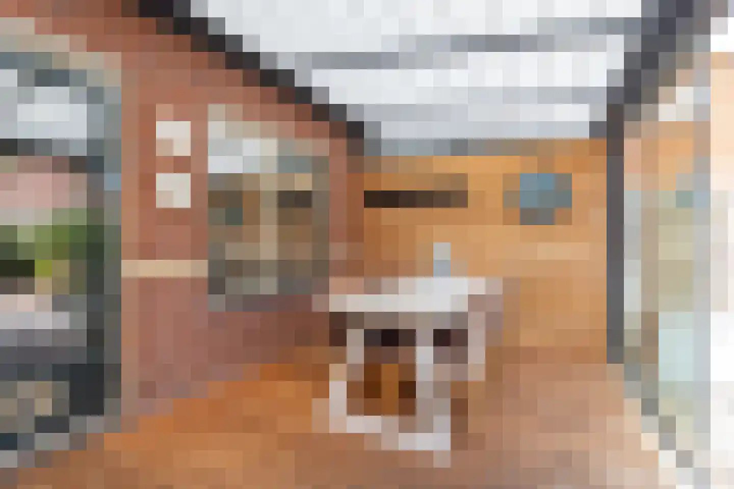 Dukaatstraat 15 Alkmaar thumbnail 30