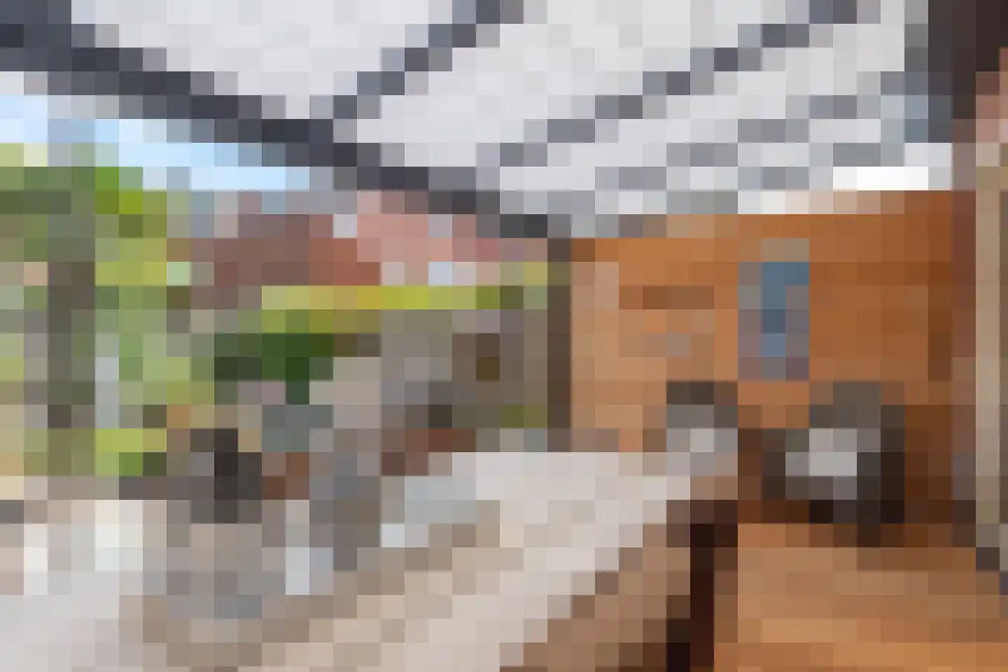 Dukaatstraat 15 Alkmaar thumbnail 31