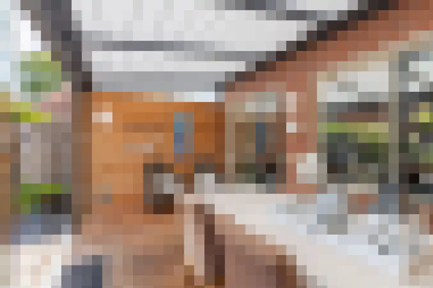 Dukaatstraat 15 Alkmaar thumbnail 32