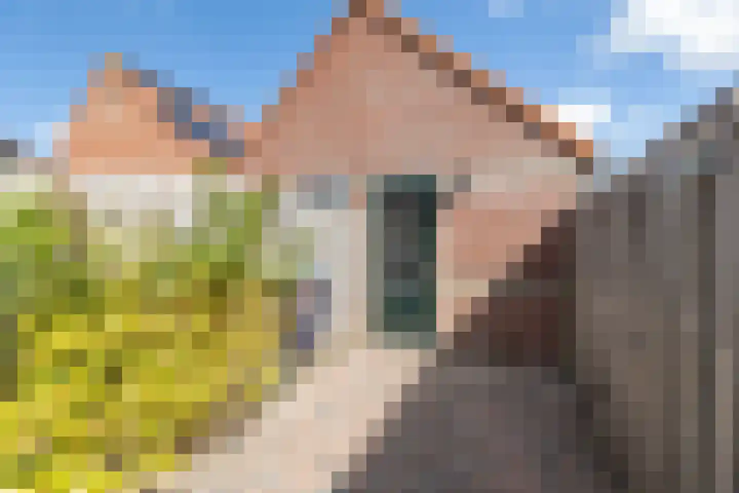 Dukaatstraat 15 Alkmaar thumbnail 36