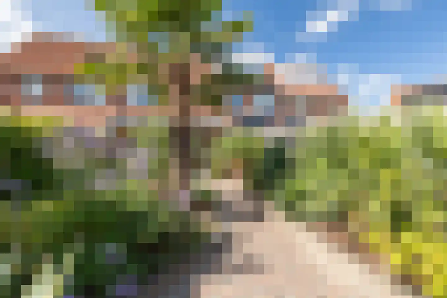 Dukaatstraat 15 Alkmaar thumbnail 37