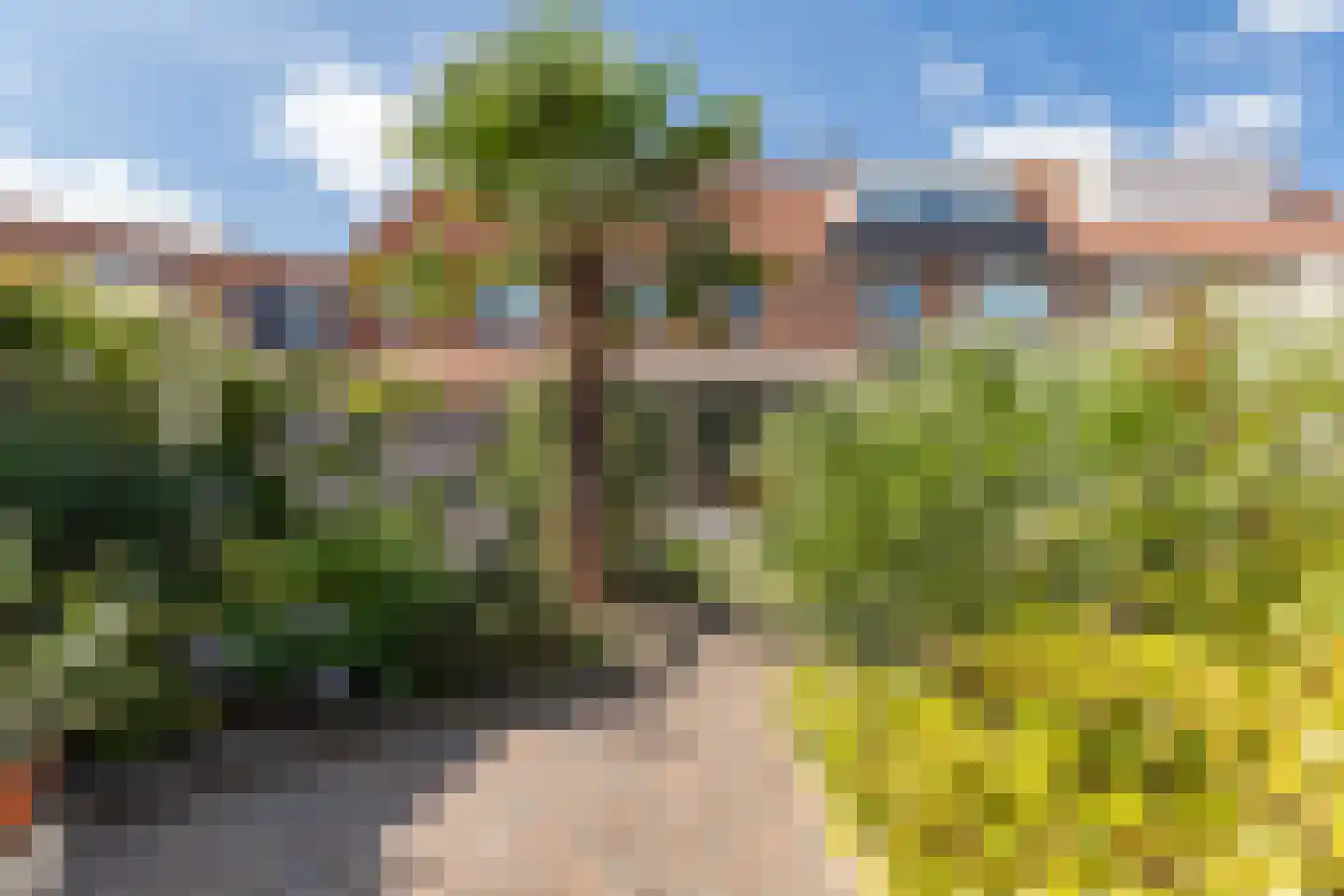 Dukaatstraat 15 Alkmaar thumbnail 38