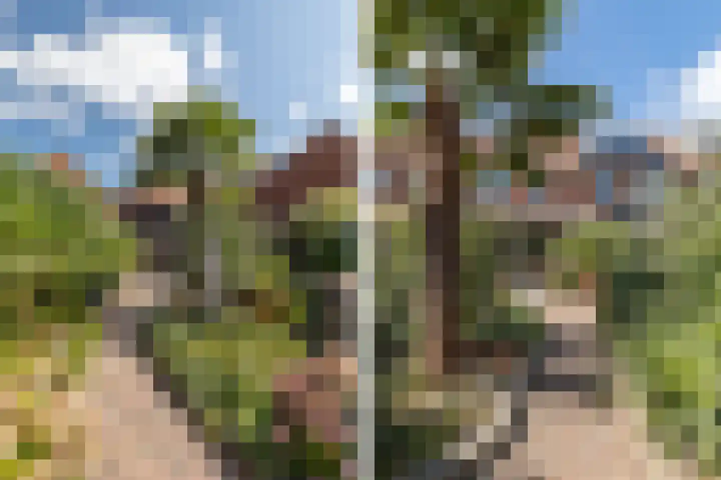 Dukaatstraat 15 Alkmaar thumbnail 41