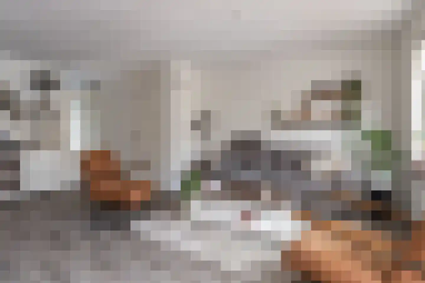 Dukaatstraat 15 Alkmaar thumbnail 5