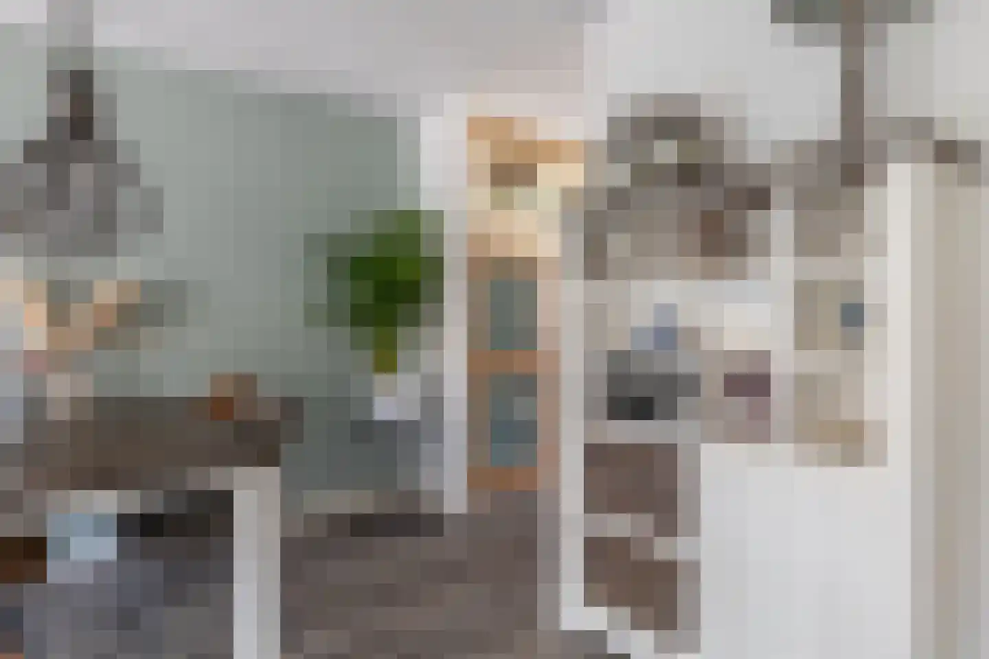 Dukaatstraat 15 Alkmaar thumbnail 7