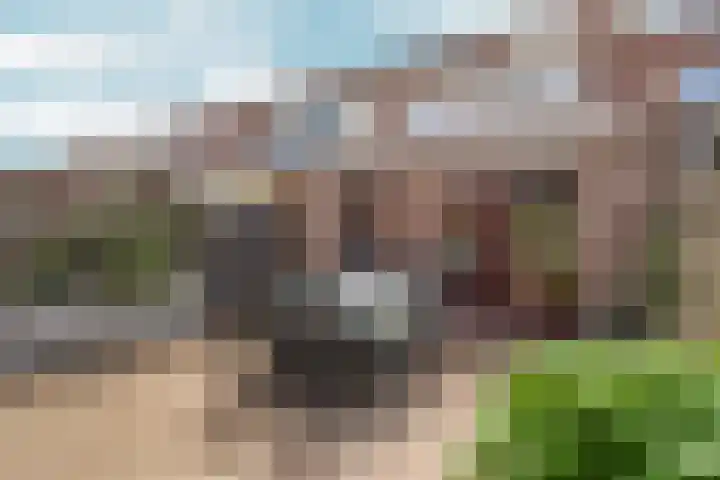 Dukaatstraat 16 Nijmegen thumbnail 36