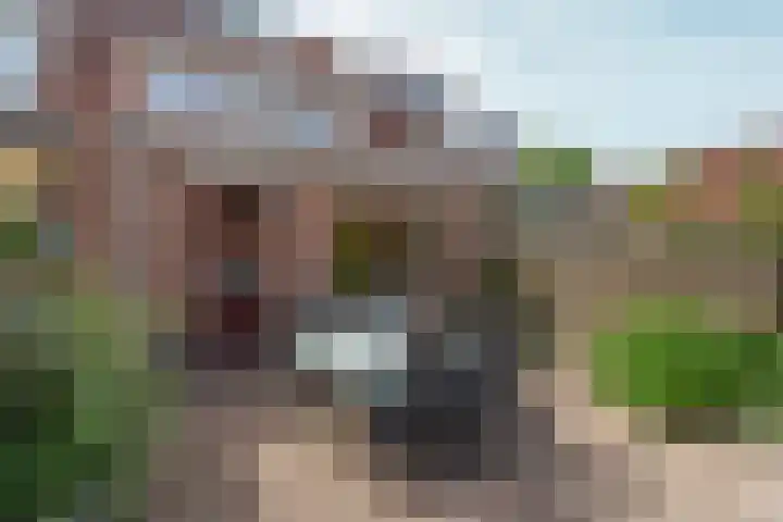 Dukaatstraat 16 Nijmegen thumbnail 37