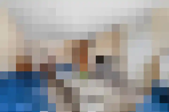 Dukaatstraat 16 Nijmegen thumbnail 9