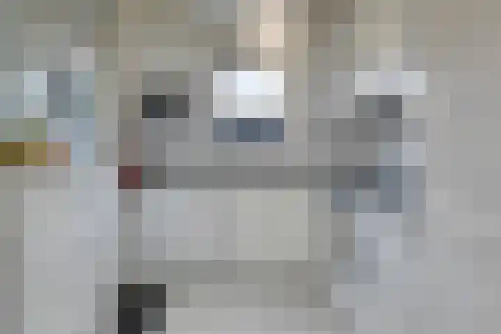 Dukaatstraat 18 Eindhoven thumbnail 17