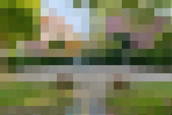 Dukaatstraat 18 Eindhoven thumbnail 28