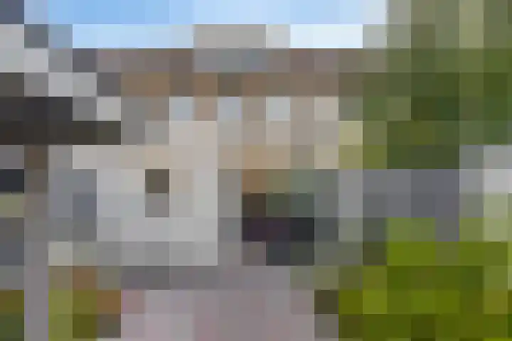 Dukaatstraat 18 Eindhoven thumbnail 32