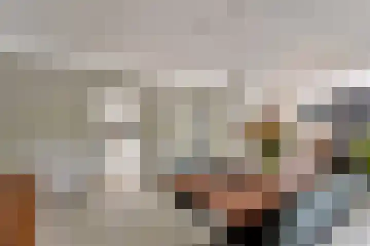 Dukaatstraat 18 's-Hertogenbosch thumbnail 10