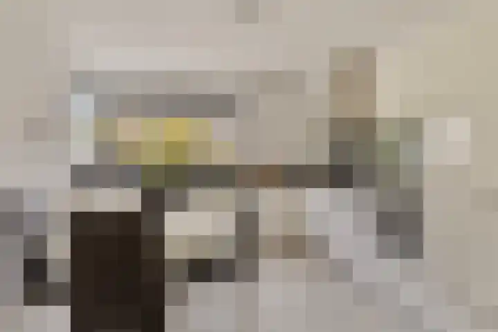 Dukaatstraat 18 's-Hertogenbosch thumbnail 11