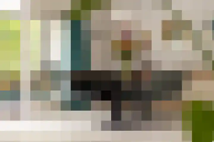 Dukaatstraat 18 's-Hertogenbosch thumbnail 13