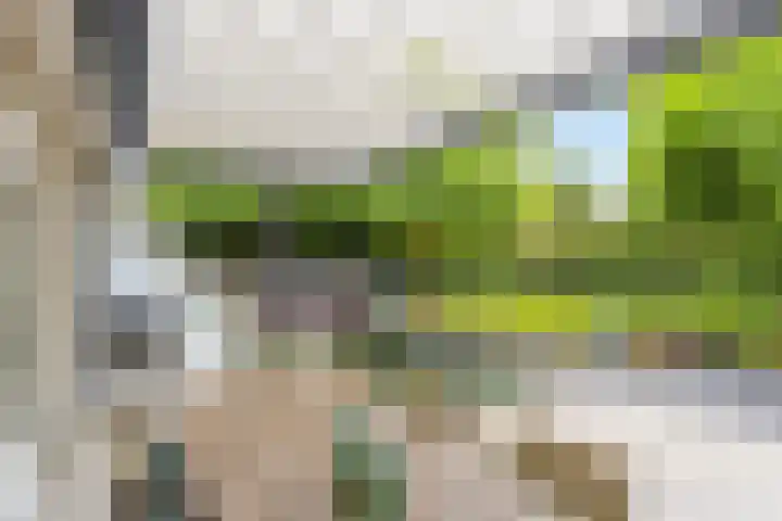 Dukaatstraat 18 's-Hertogenbosch thumbnail 15